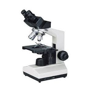 Microscope